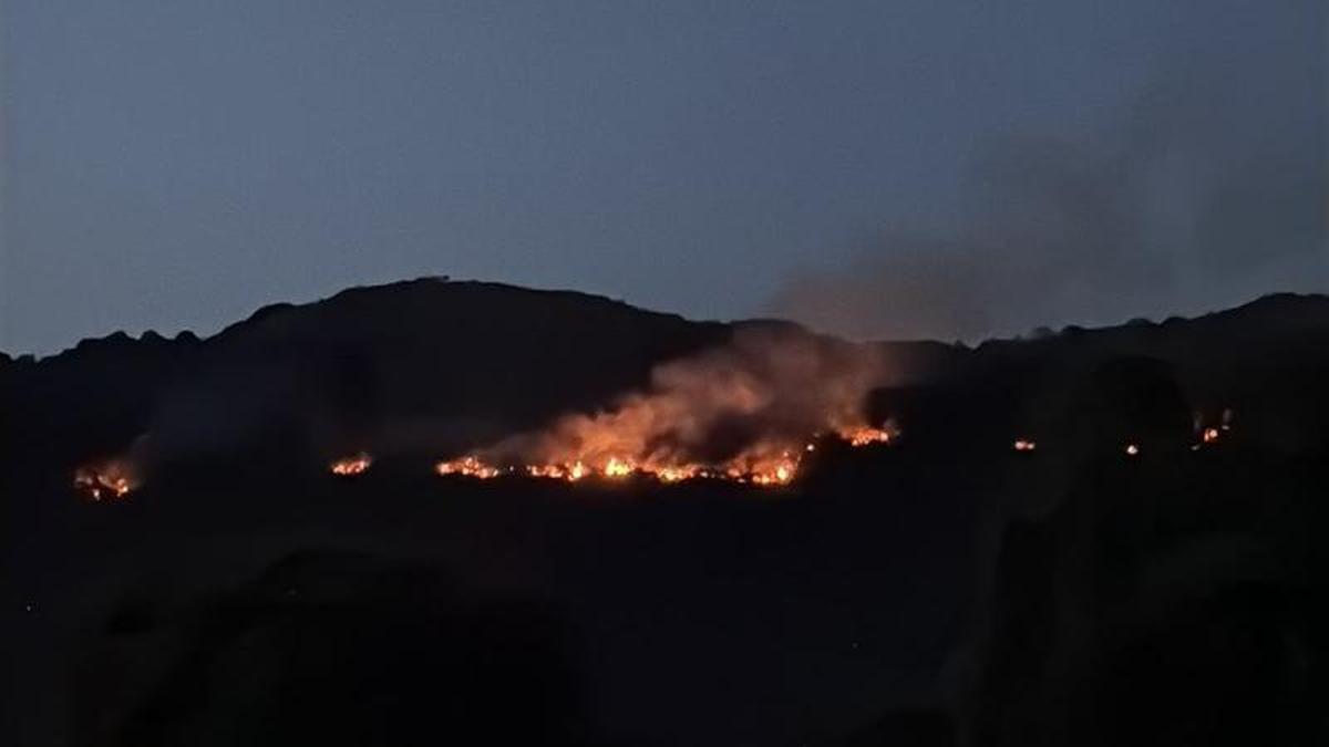 Vídeo | Incendio en Las Navas, en Herrera del Duque