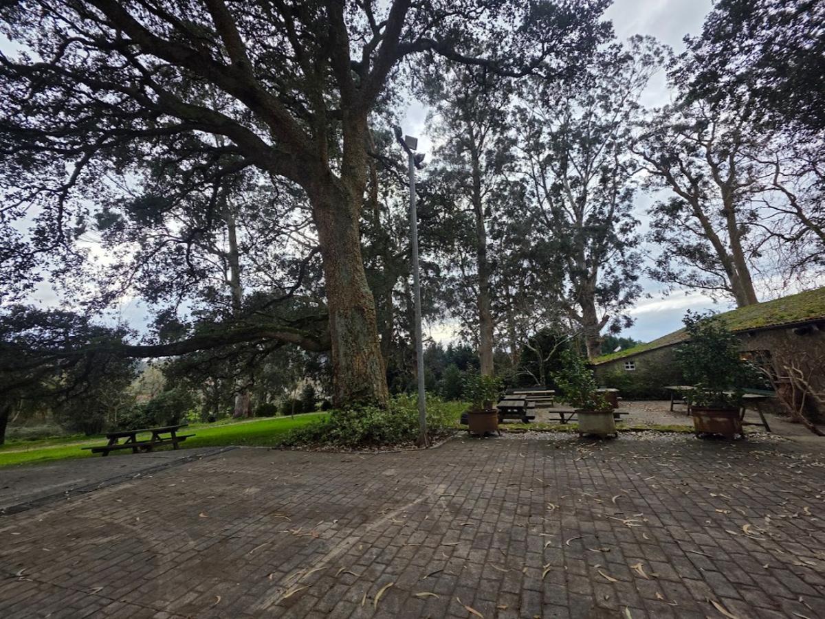 Pazo Rubiáns, en Vilagarcía, sede de la bodega Pazo de Rubianes, desde octubre propiedad de Bodegas Arzuaga.