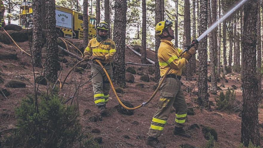Agentes forestales de la Brifor se entrenan para actuar contra los incendios forestales.