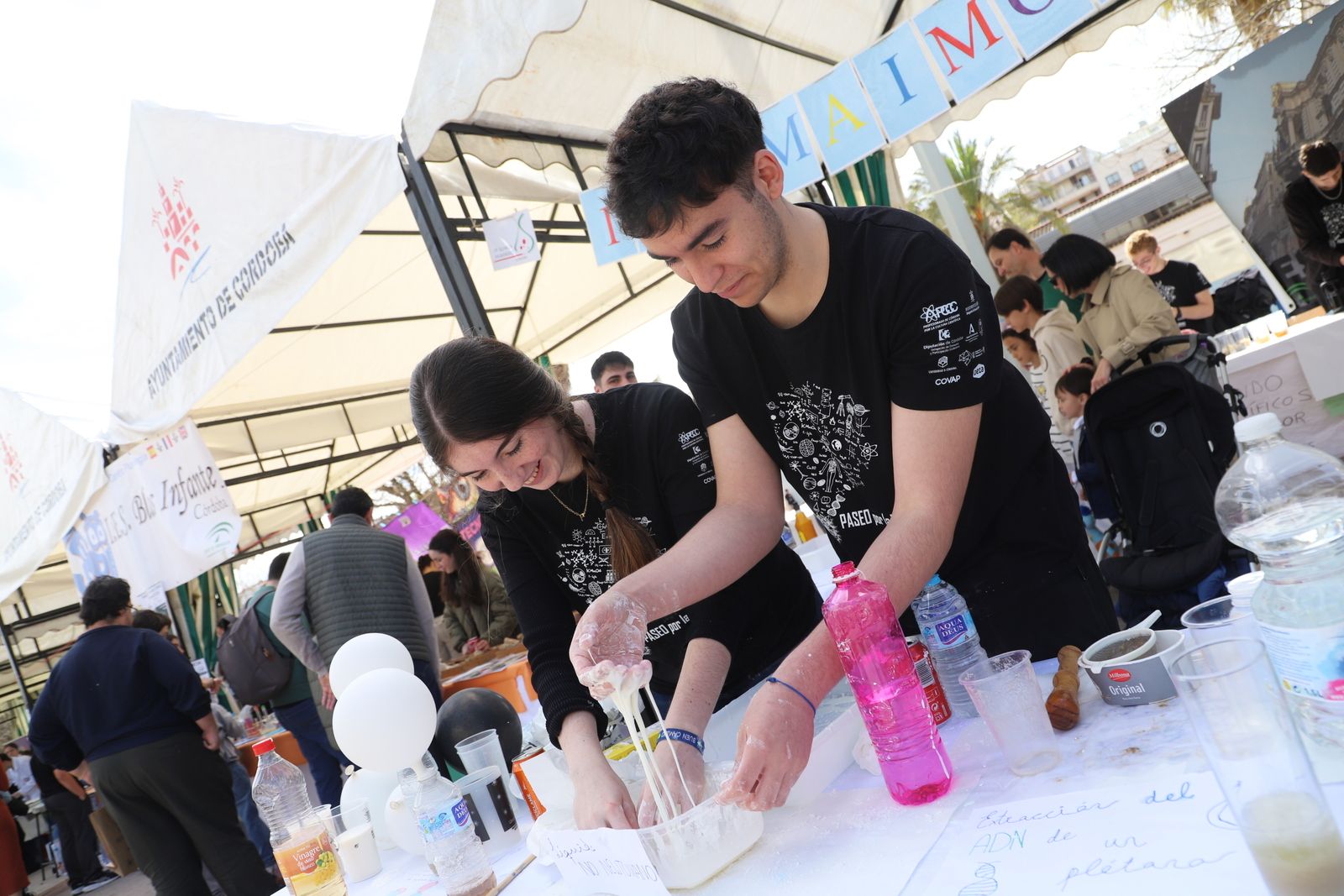 Córdoba se da un "Paseo por la ciencia"