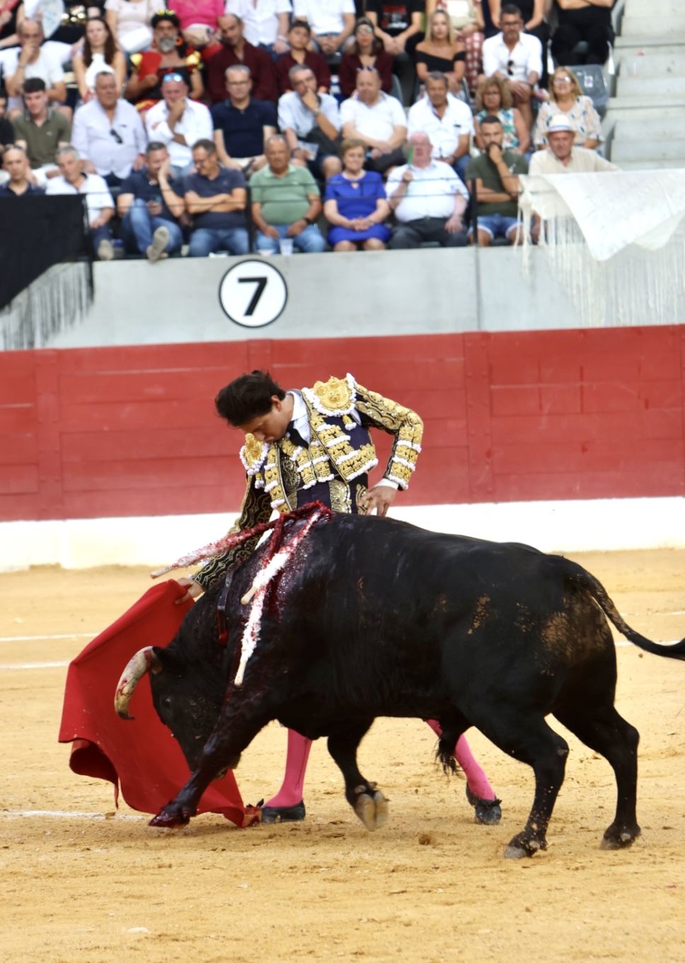 Las imágenes de la vuelta de los toros a la plaza de Villena