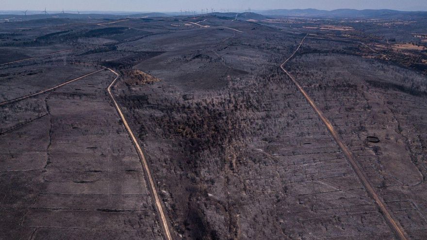 Imagen aérea de una de las zonas calcinadas, cerca de San Martín de Tábara. | Emilio Fraile |