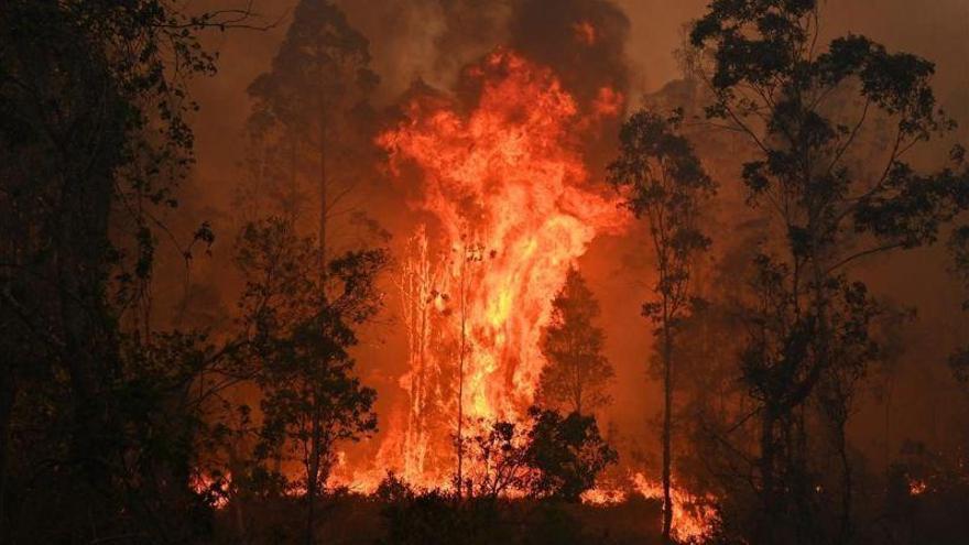 Bomberos voluntarios enfrentan los peores incendios del siglo en Australia