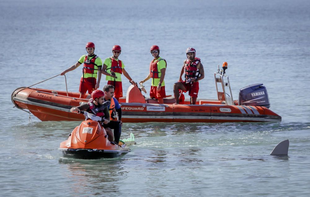 Hai-Alarm mit Happy-End auf Mallorca