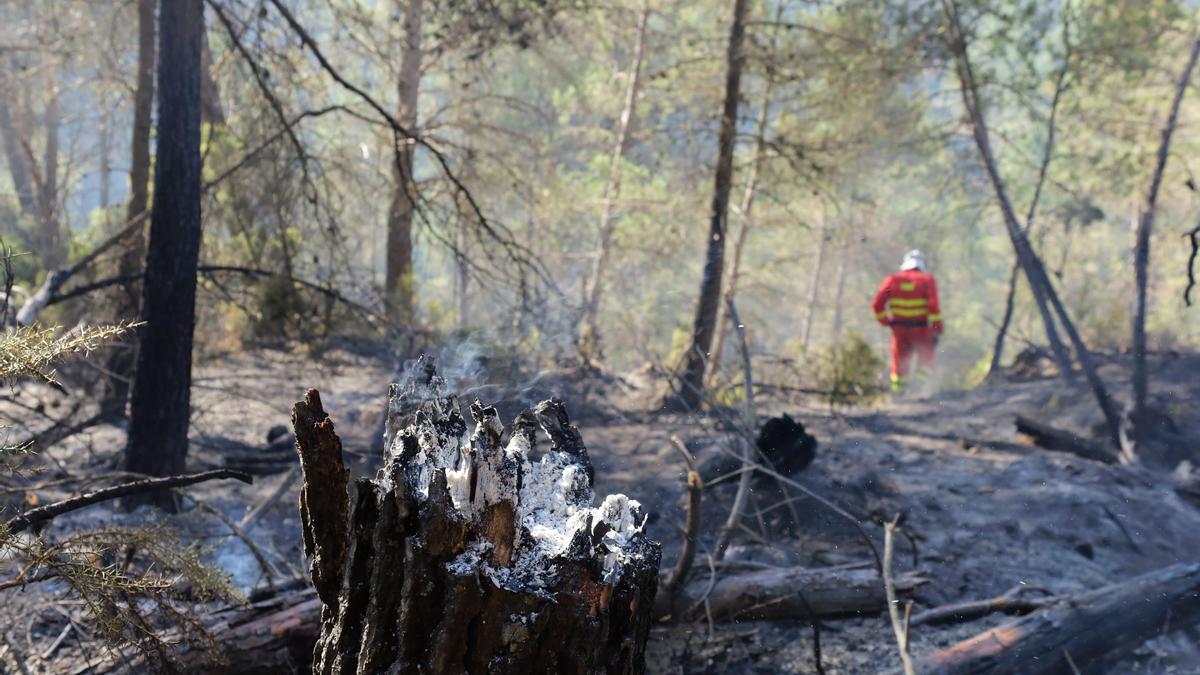 Imagen del incendio que ha asolado los últimos días buena parte de la comarca del Alto Mijares en Castellón.