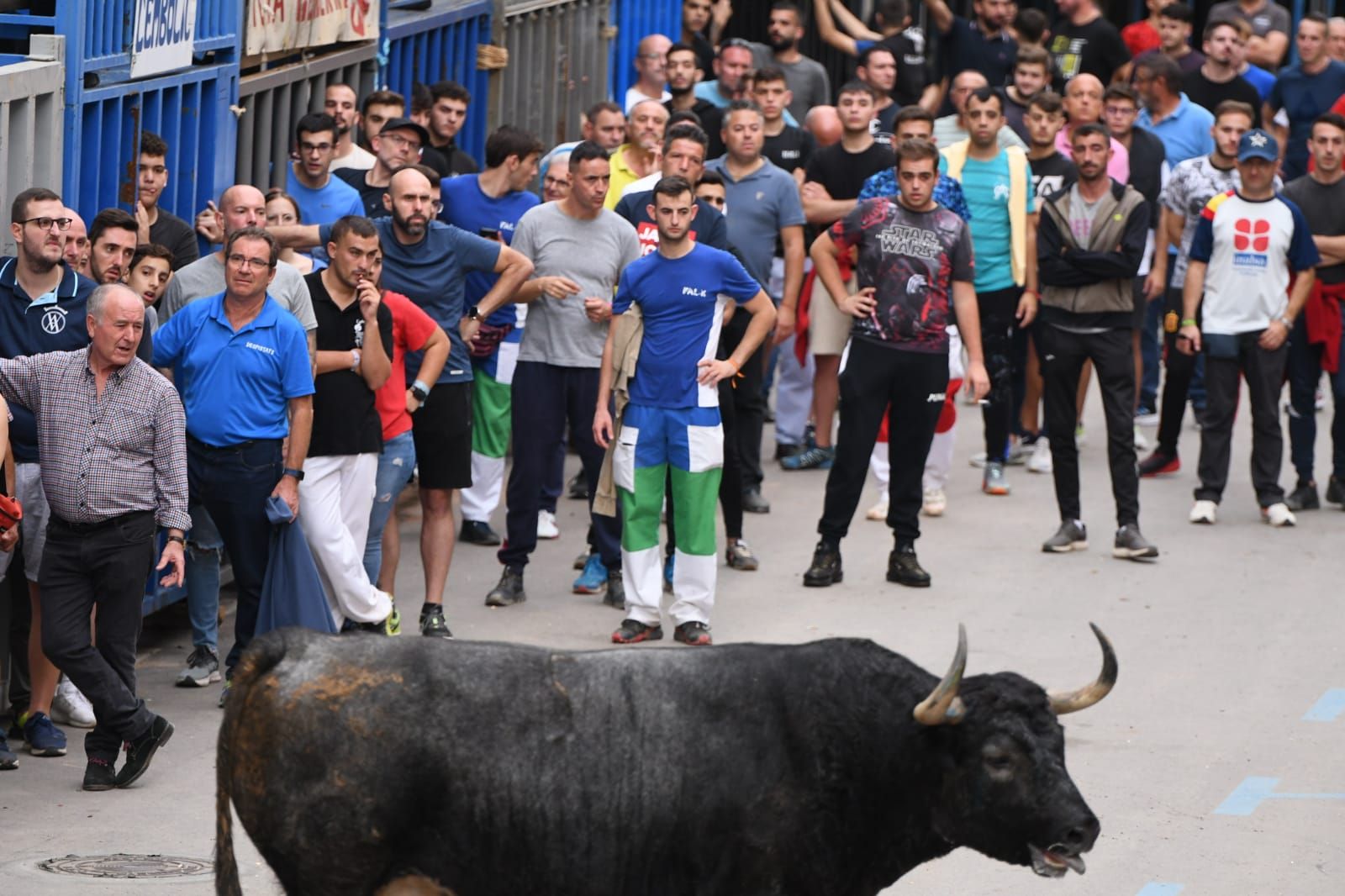 Exhibición de cuatro toros de Partida Resina en Onda