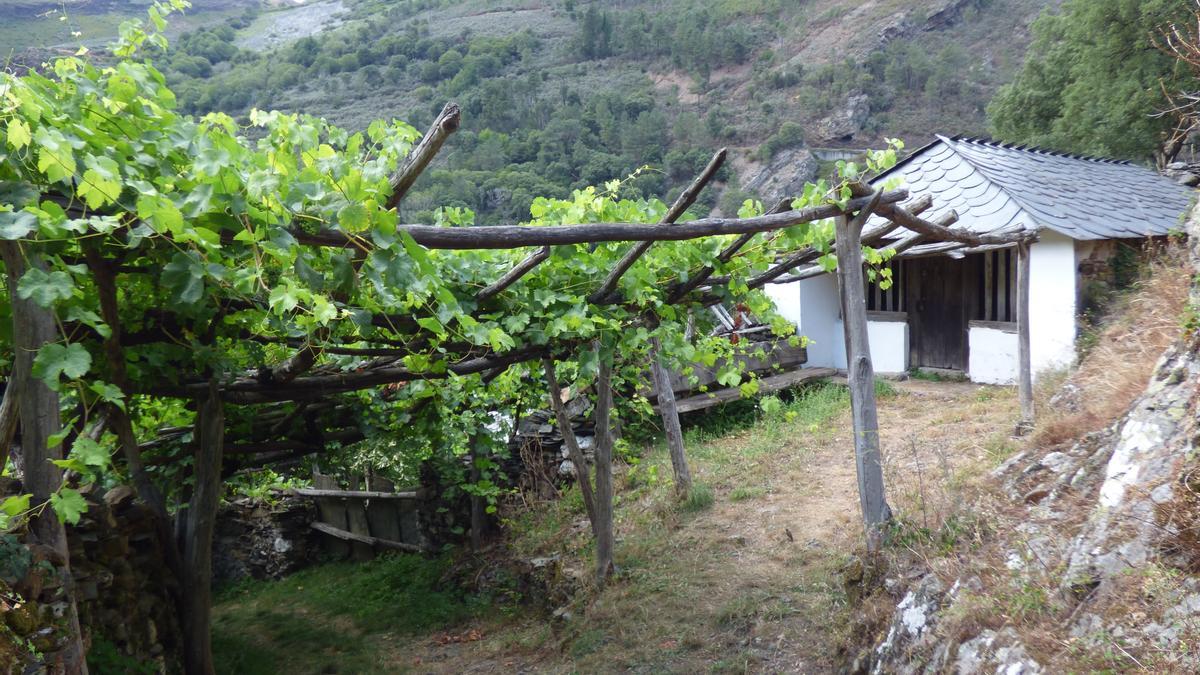 Pueblos guapos de Asturias: Riodeporcos (Ibias), al que se llega cruzando un puente