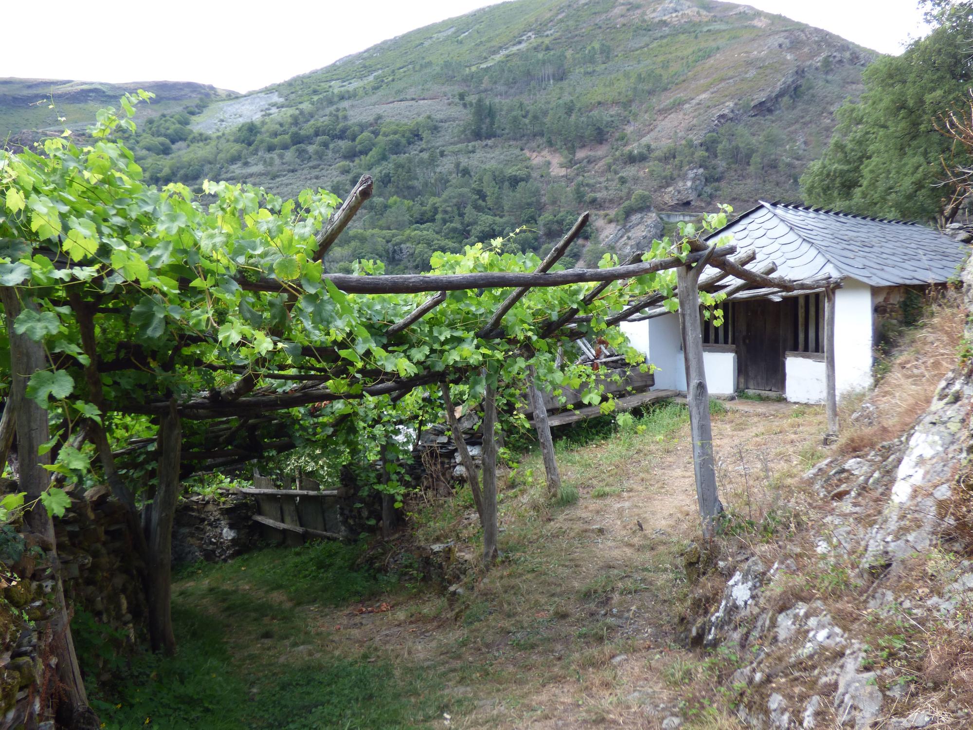 Pueblos guapos de Asturias: Riodeporcos (Ibias), al que se llega cruzando un puente