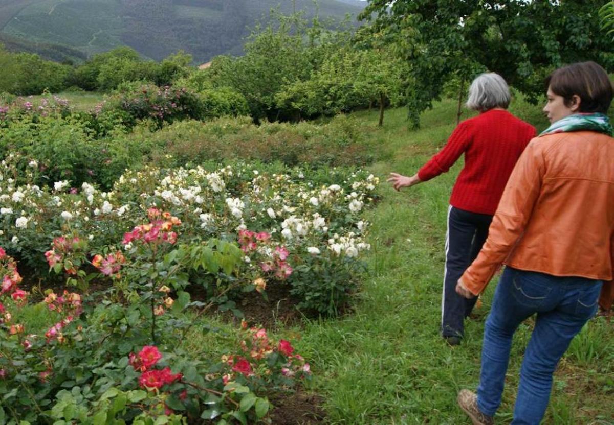 El vivero del Corpus en Castropol