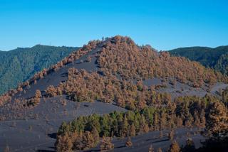 Durante la erupción en La Palma hubo dos episodios localizados de lluvia ácida