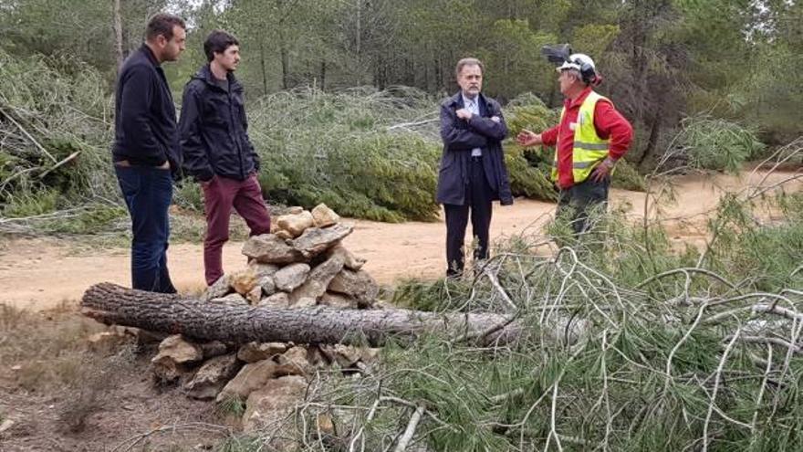 El delegado del Consell y los técnicos, ayer durante su visita al monte en Bocairent.