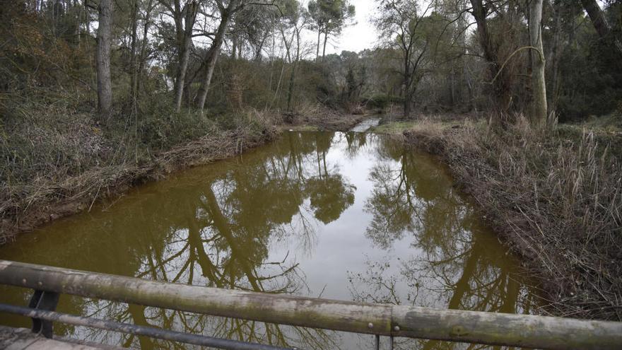 El temporal deixa malmès el principal camí del Suanya de Manresa