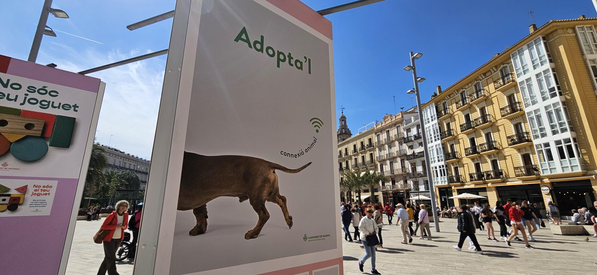 Las campañas municipales de Bienestar Animal a lo largo de los años