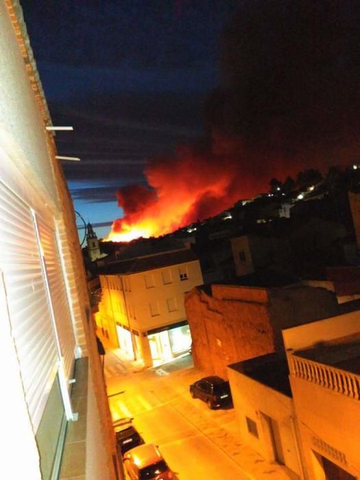 Incendio forestal en Carcaixent