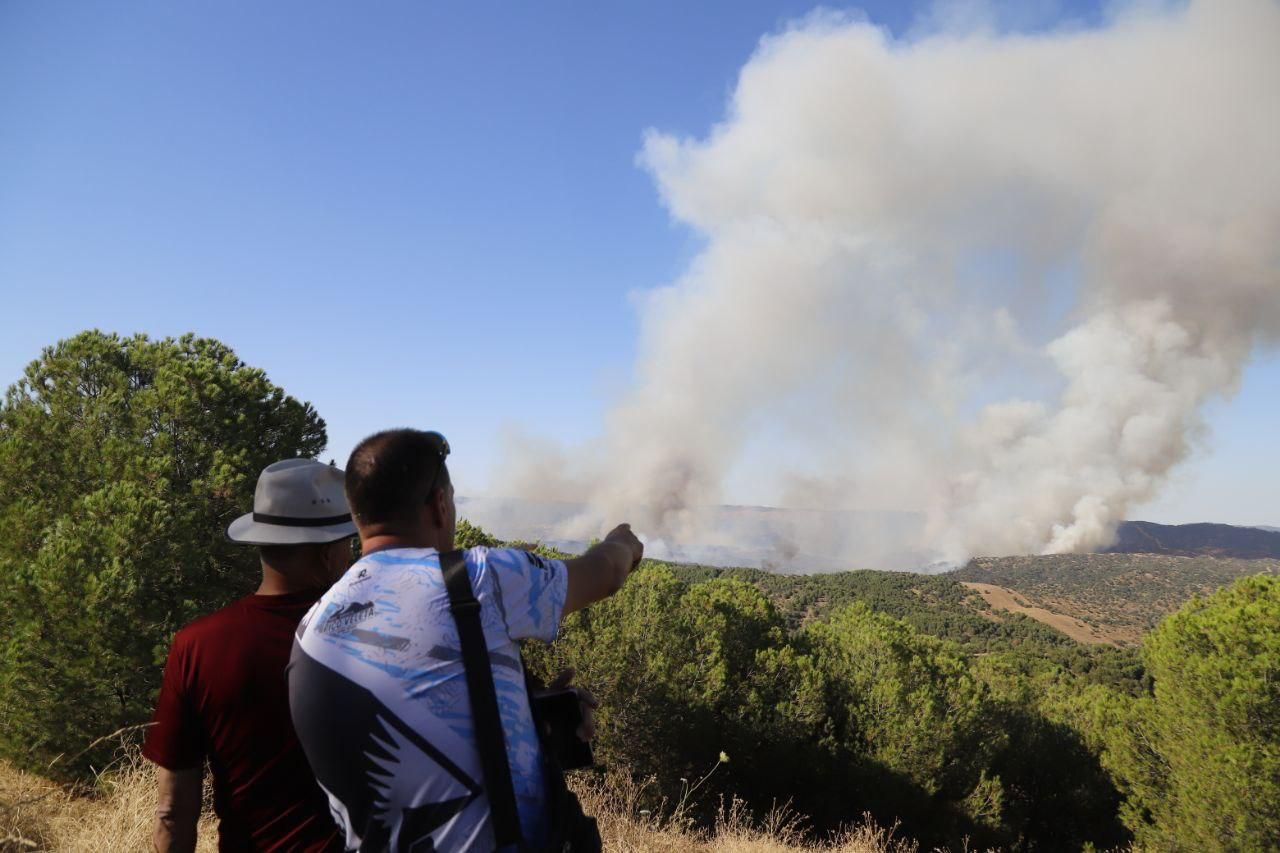 Incendio forestal en Cerro Muriano