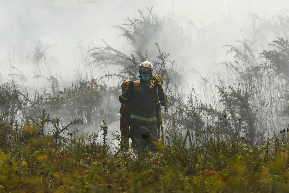 Un incendio en Visma, el segundo en ocho días, calcina 16.000 metros cuadrados.