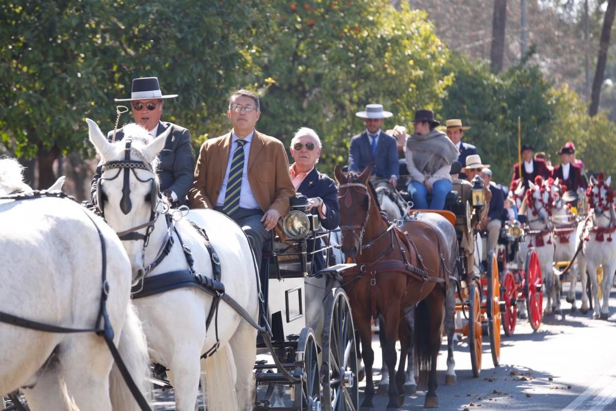 Cientos de caballistas y engances participan en la Marcha Hípica del 28-F en Córdoba