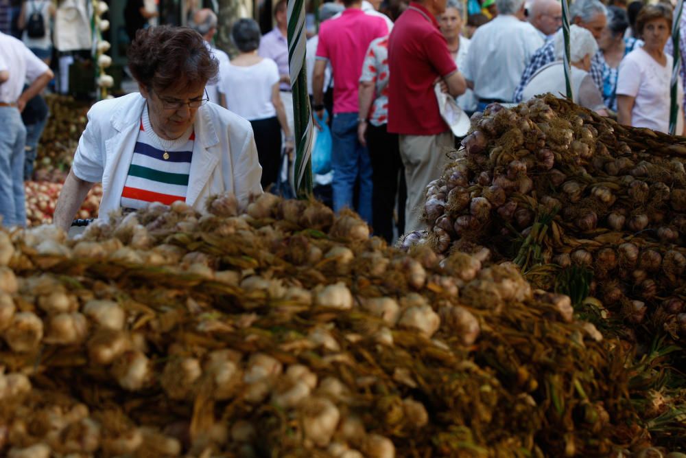 San Pedro 2016: Feria del Ajo