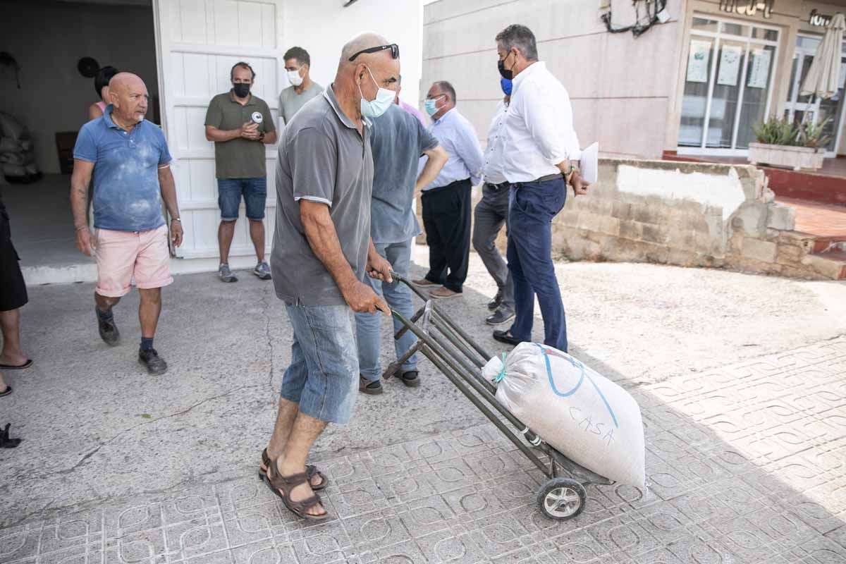 La 'xeixa' ya se puede moler en Ibiza