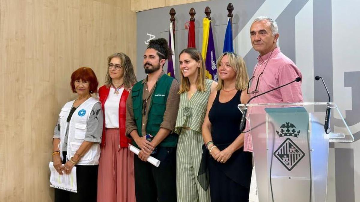 Representantes de Cort y autores del informe este lunes en Cort.