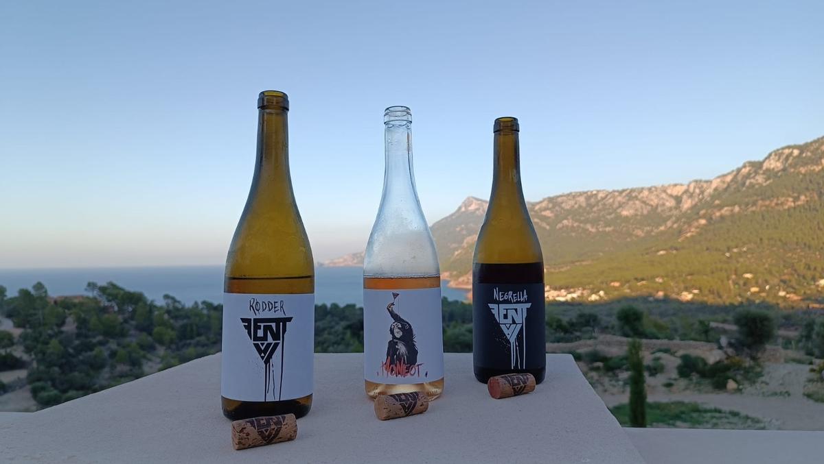 FentVi, una de las principales bodegas en Santa Eugènia, crea vinos atrevidos, respetando el 'terroir' y rompiendo con las convenciones.