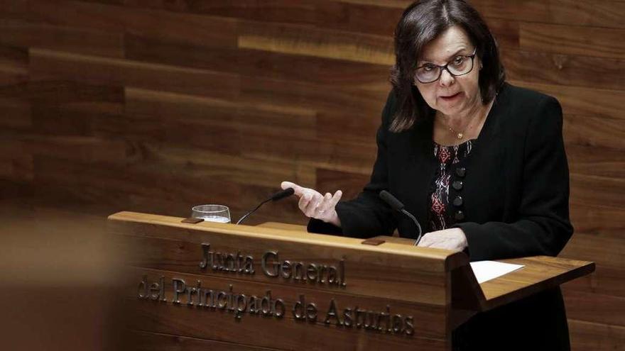 María Jesús Álvarez, ayer, durante una de sus intervenciones en la Junta.