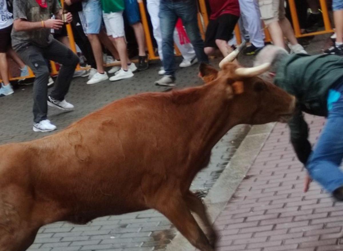 Novillos, vacas, vaquillas y mucha lluvia