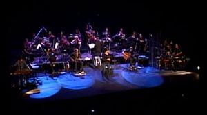 Lax’n’Busto interpreta ’Les nits del Liceu’.