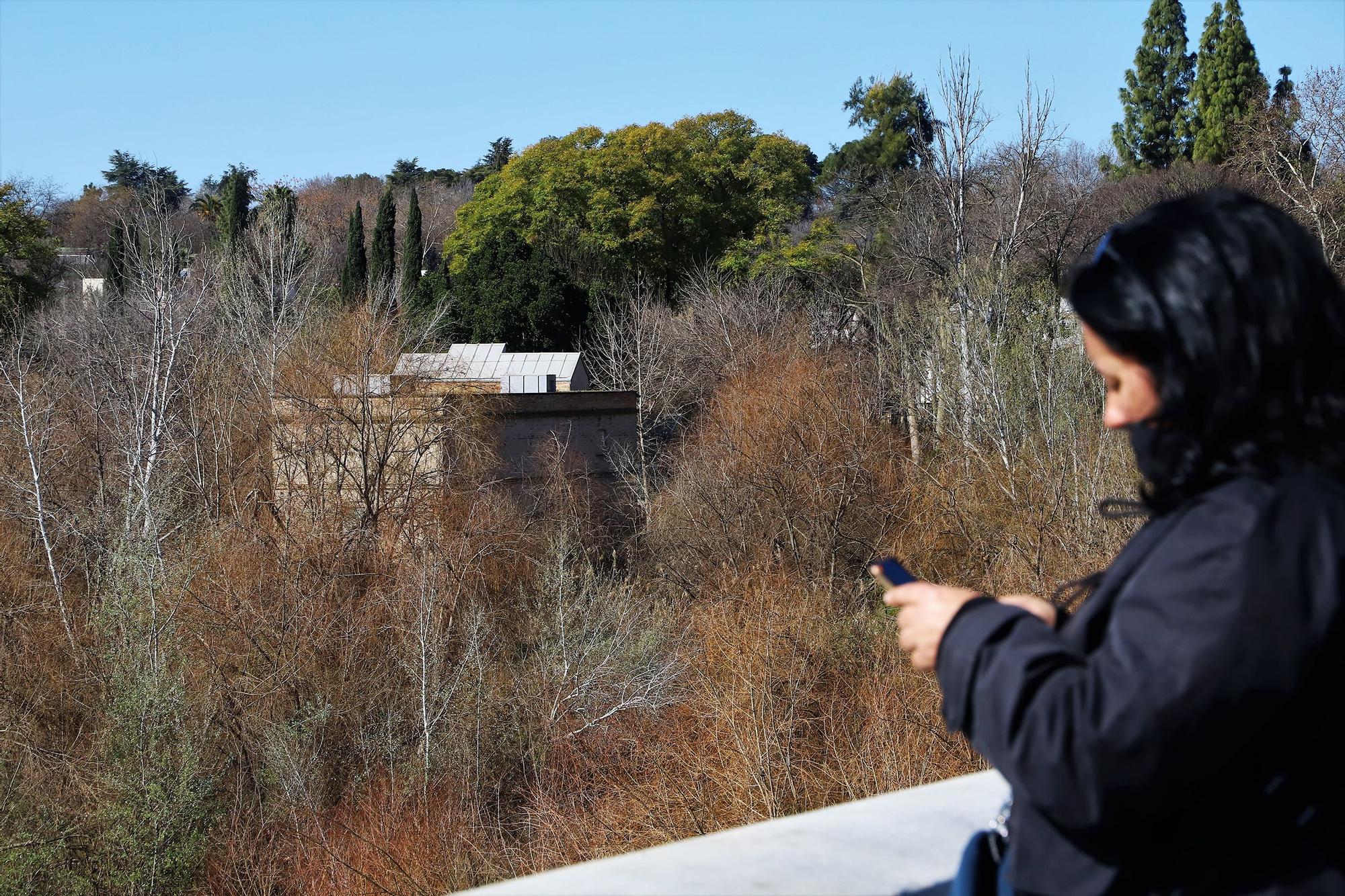 Molino junto al Jardín Botánico