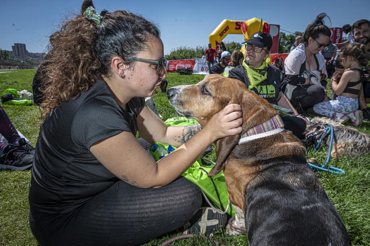 CAN WE RUN BARCELONA. La carrera organizada por Prensa Ibérica y El Periódico de Catalunya con la colaboración de Sport ,  donde las personas y sus mascotas perrunas corren en familia