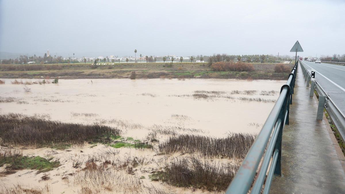 El río Guadalquivir a su paso por la localidad sevillana de Lora del Río.