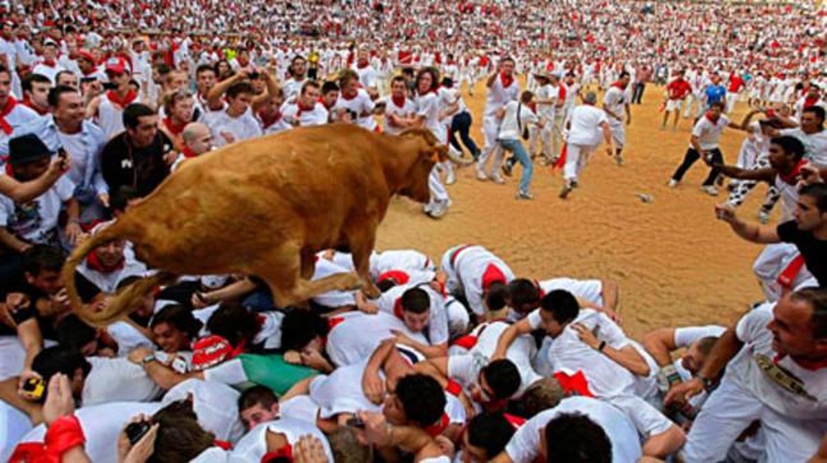 Un toro entra a la plaça durant el Sant Fermí del 2010.