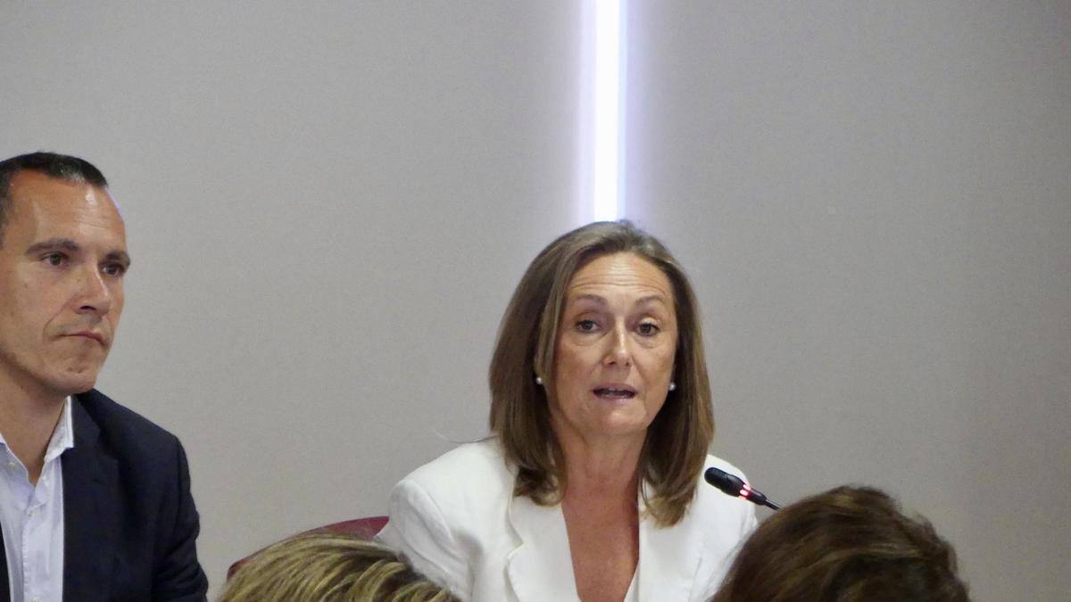 Luisa Sánchez, durante el pleno ordinario del Concello de Vigo.
