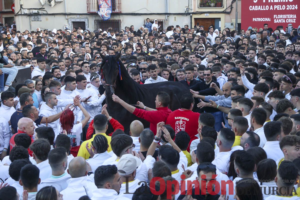 Entrega de premios del concurso de 'Caballo a pelo' en Caravaca