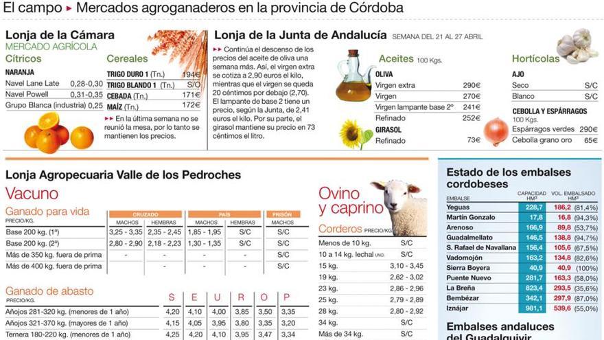 Las lluvias han ayudado al crecimiento de la hierba