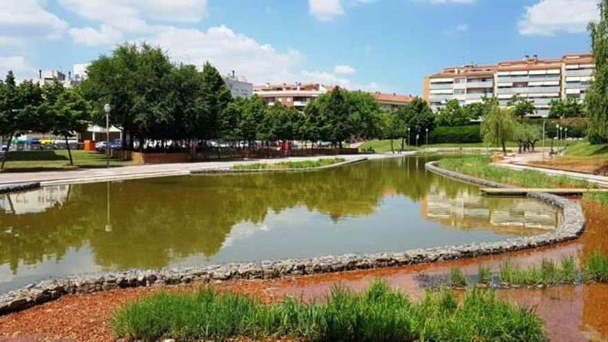 El llac d&#039;Olesa està situat dins del Parc Municipal i té una superfície d&#039;uns 2.300 metres quadrats