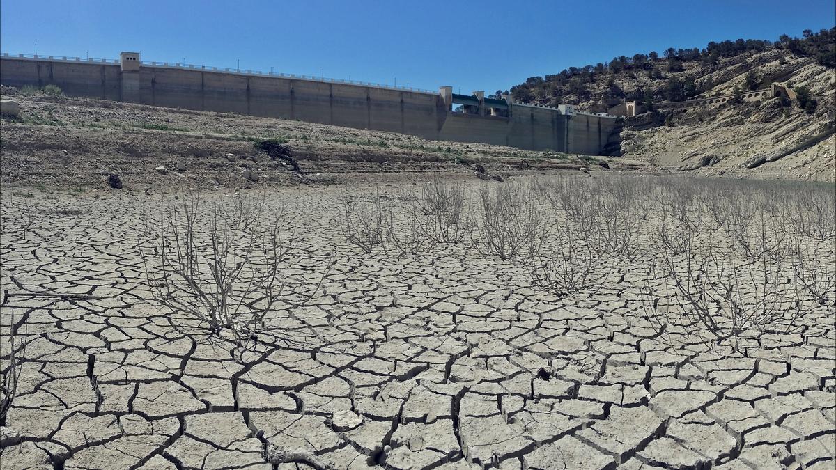 Año 2014. Embalse de Amadorio.