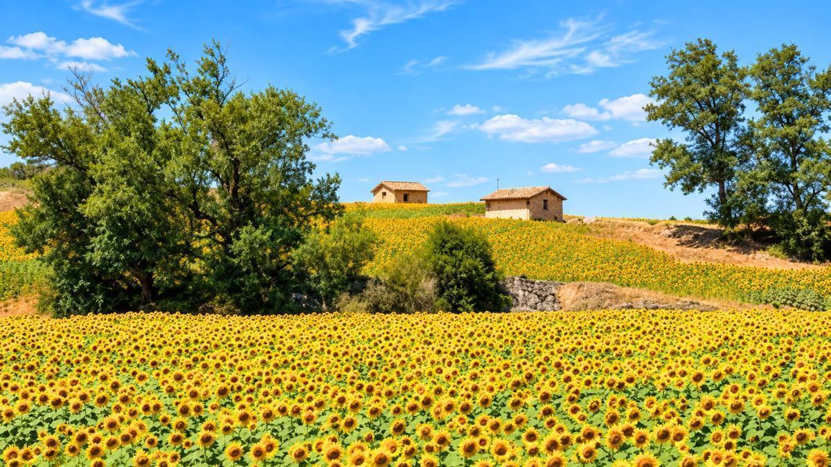 El entorno de esta villa sorprende por su belleza, pese a sumar solo 18 habitantes.