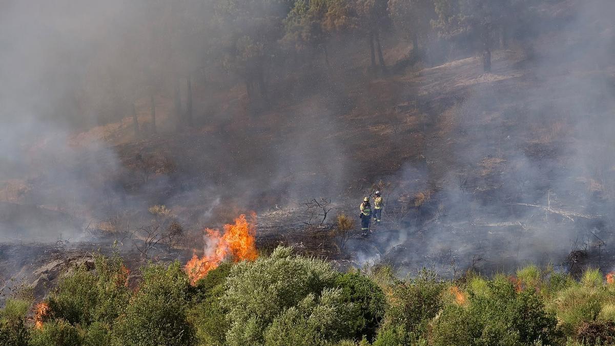 INCENDIO EN BARCELONA | Incendio en Collserola: Protección Civil ordena el confinamiento de los vecinos de Ciutat Meridiana y Torre Baró