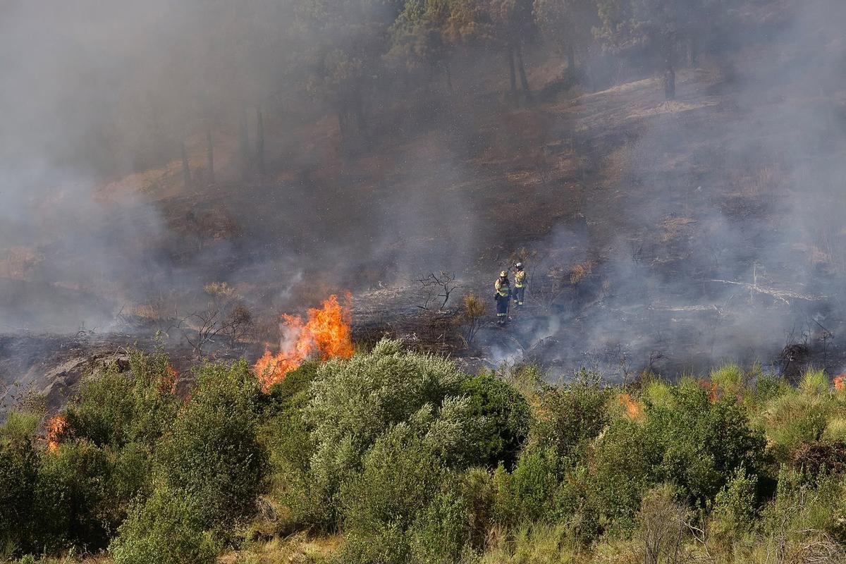 Incendio en Collserola