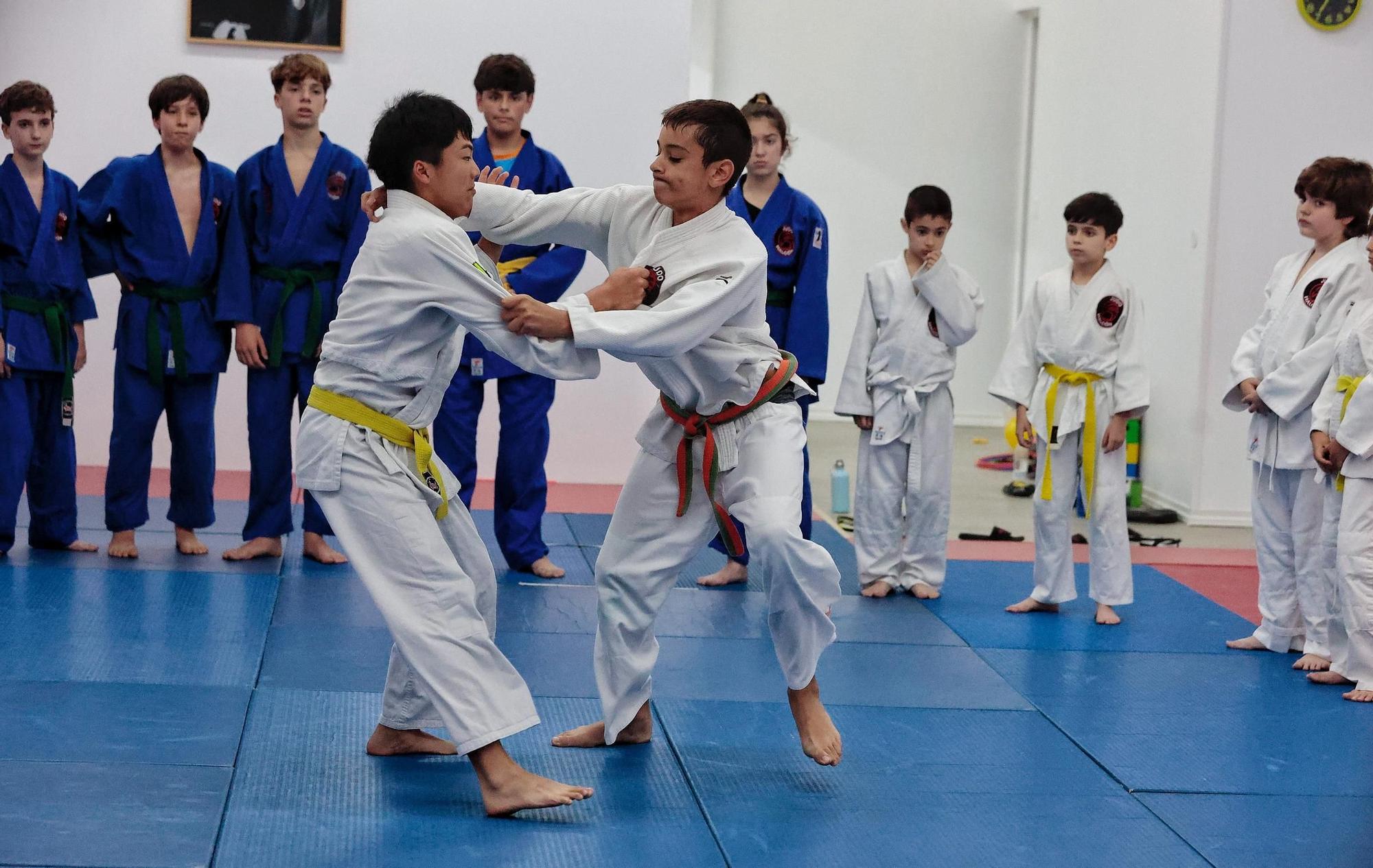 Los beneficios del judo en niños hiperactivos y agresivos