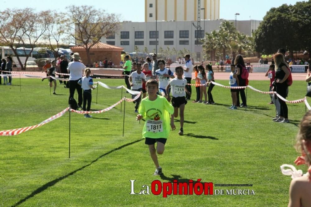 Final Cross Escolar de Lorca . Alevín masculino