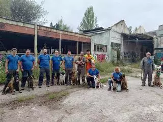VÍDEO: Así entrena la Unidad Canina de Rescate del Principado de Asturias con sede en La Morgal