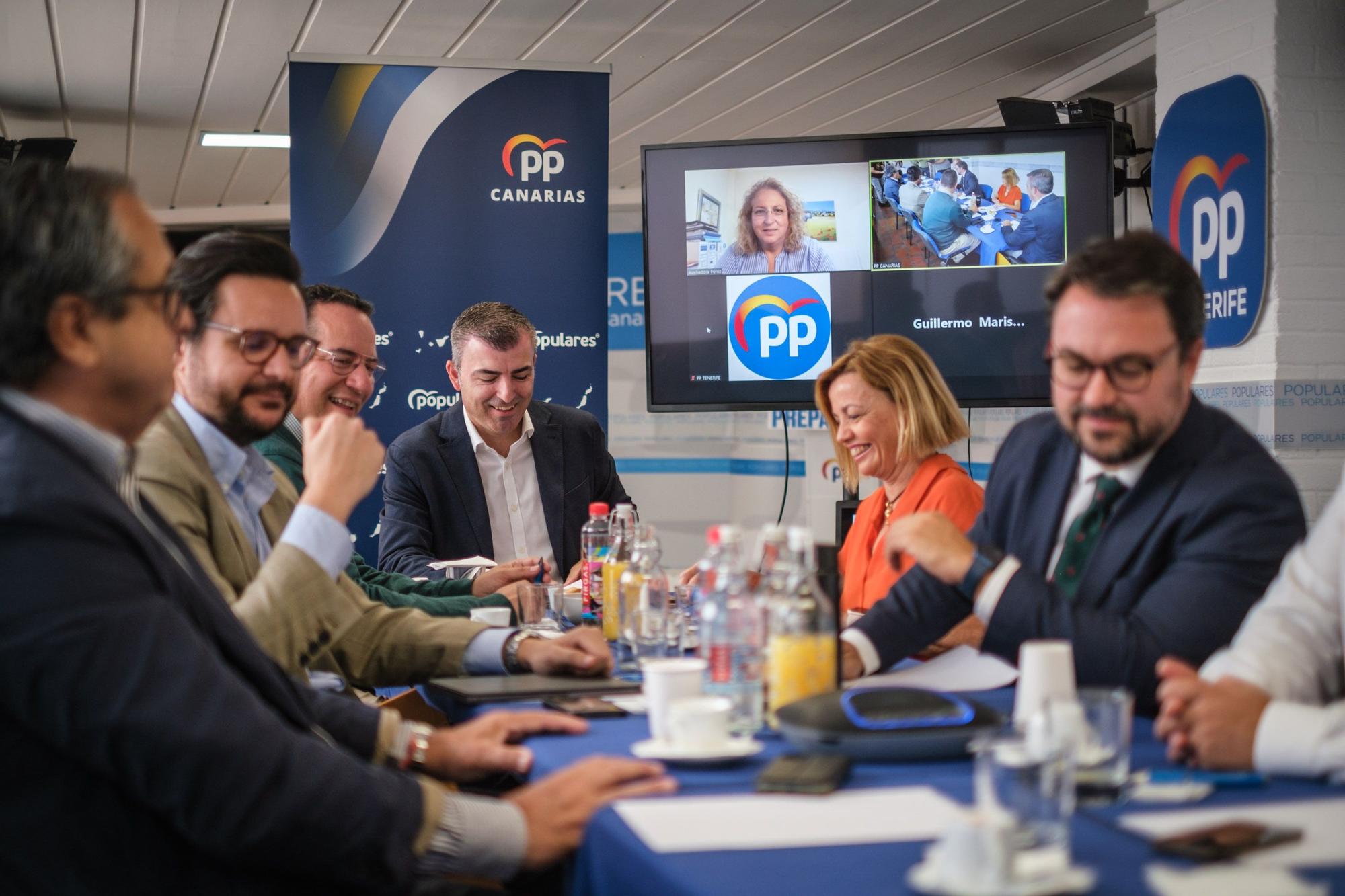 Manuel Domínguez se reúne con los diputados y senadores del PP de Canarias