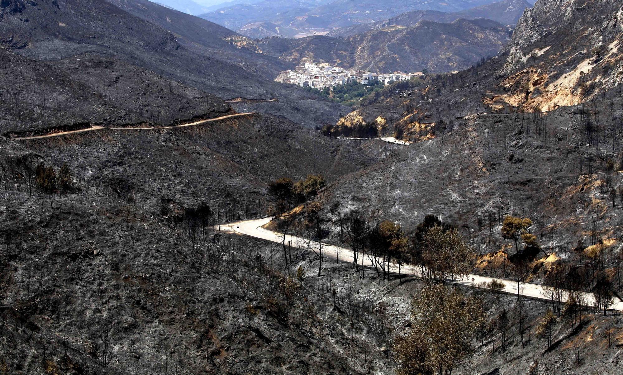 10 años del infierno de Andilla y Cortes de Pallás.