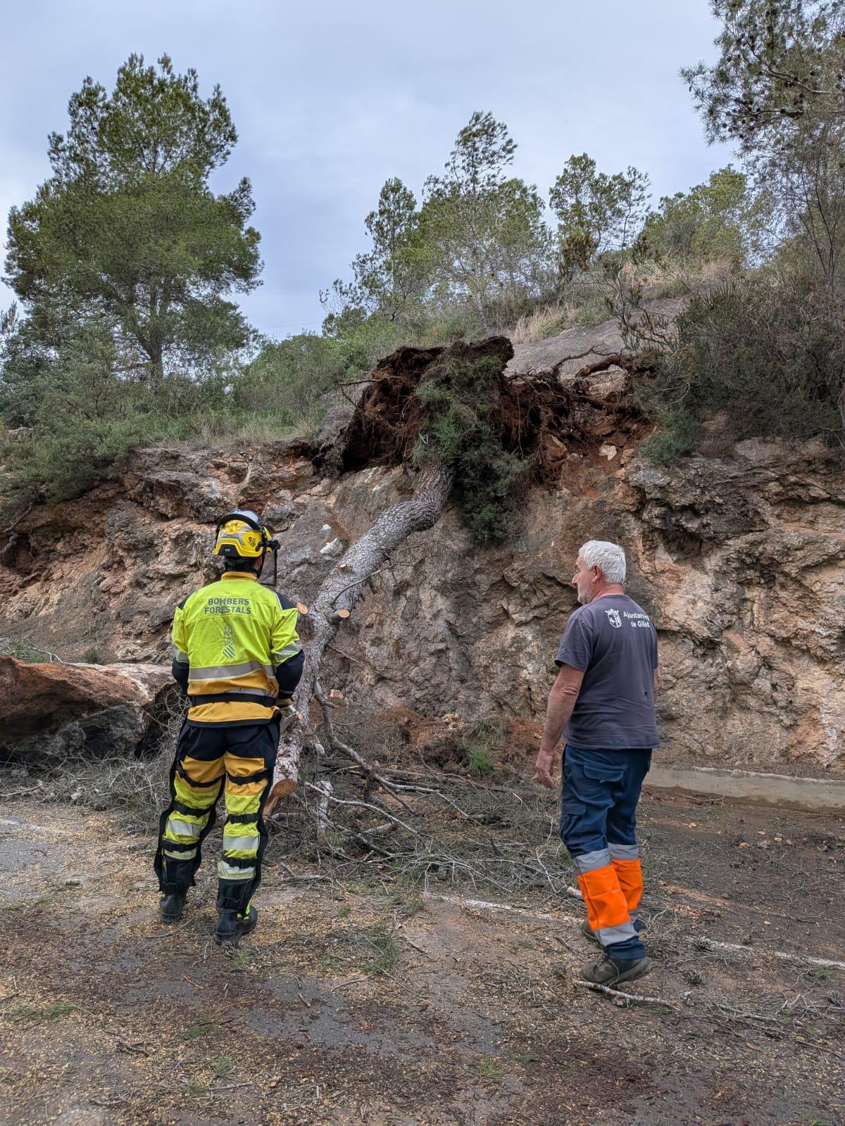 Actuación de los bomberos.