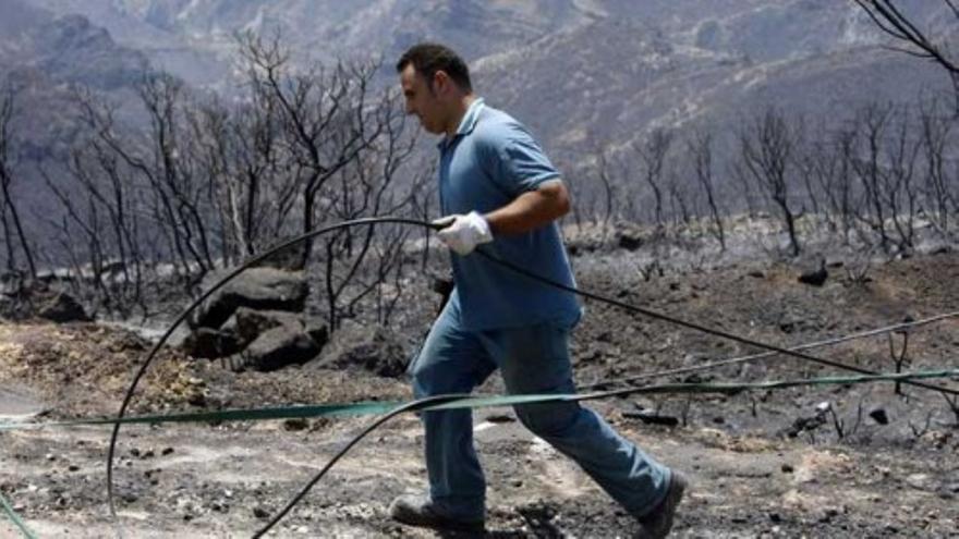 Los parados podrán ser movilizados para colaborar en incendios