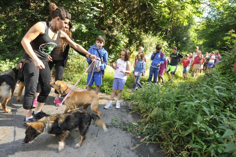 Visita de escolares a la protectora 'El Trasgu' en Mieres