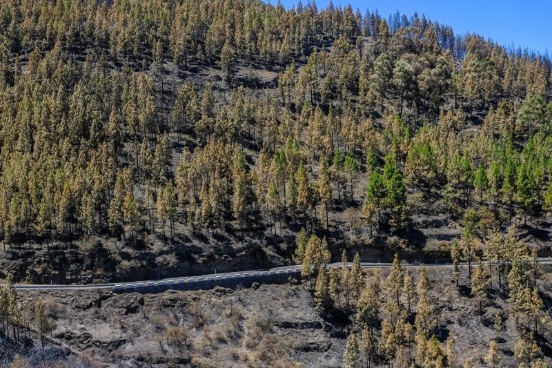 Consecuencias del incendio: De Valleseco a Artenar