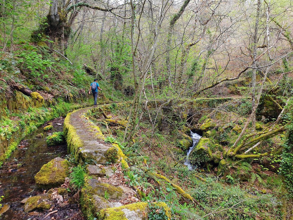 Ribeira Sacra (Provincia de Ourense). Ruta circular por el Cañón del río Mao (afluente del río Sil)